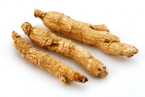 Le ginseng