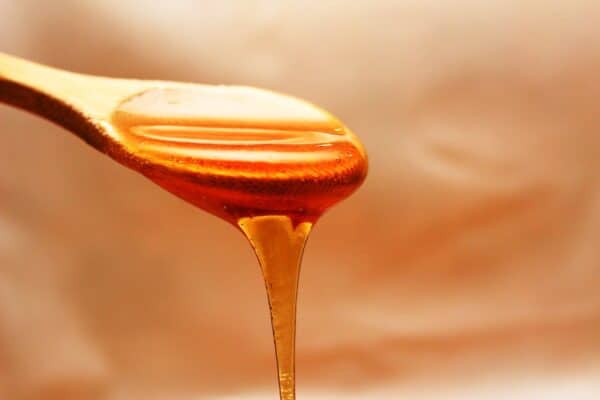 Le Manuka : un miel aux propriétés uniques